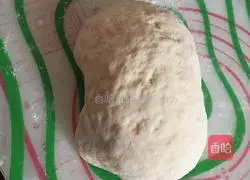 Illustration of how to make meat buns 4