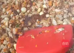 Illustration of how to make Shaomai 14