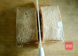 Pastoral Sandwich Recipe Illustration 10