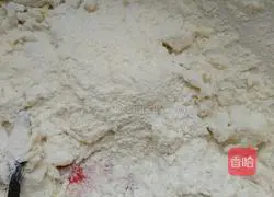 Illustration of how to make pork dumplings 1