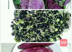 Illustration of how to make colorful dumplings 2