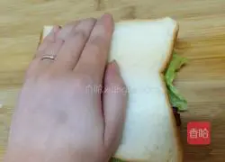 Illustration of how to make sandwich platter 5
