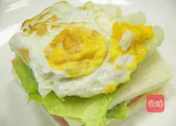 Illustration of how to make sandwiches 11