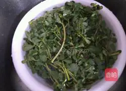 Illustration of how to make purslane cake 1