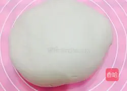 Illustration of how to make fennel dumplings 7