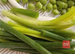 Assorted Fried Rice Recipe Illustration 5