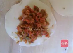 Pork and green onion dumplings.Recipe 6