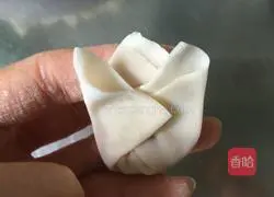 Illustration of how to wrap wontons 13