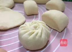 Illustration of home-style steamed buns 5