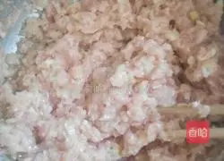 Illustration of how to make white radish and pork dumplings 7