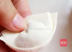 Illustration of how to make chicken and carrot wontons 8