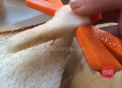 Insect sandwich Practice illustration 9