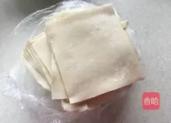  Illustration of how to make vegetable and meat wontons 5