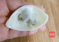 Illustration of how to make wontons 6
