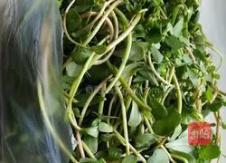 Illustration of how to make purslane meat buns 1