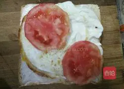 Illustration of how to make egg, tomato, cucumber and whole wheat sandwich 6