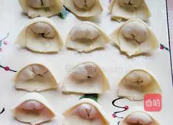 Illustration of how to make chicken and carrot wontons 12