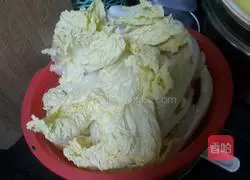 Illustration of three fresh wonton recipes 2