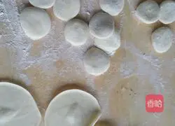 Illustration of Northeastern sauerkraut dumplings 6