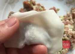 Illustration of how to make pork and green onion wontons 6