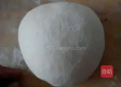 Illustration of how to make wontons 2