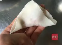 Illustration of how to wrap wontons 9