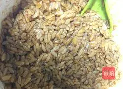 Soy Sauce Fried Rice Recipe Illustration 2