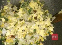 Exclusive Assorted Egg Fried Rice Recipe Illustration 9