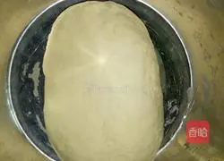 Illustration of how to make wild vegetable dumplings 4