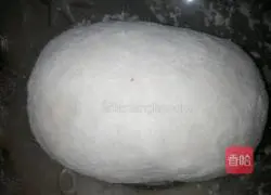 Dumpling recipe illustration 2