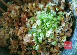 Pork and cabbage dumplings recipe 11