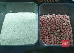 Cantonese chicken pancake recipe 3