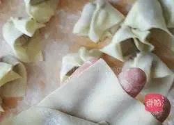 Zucchini and Pork Wonton Recipe Illustration 9