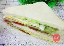 Illustration of homemade sandwiches 10