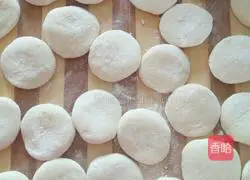 Illustration of home-style pork filling dumplings 5