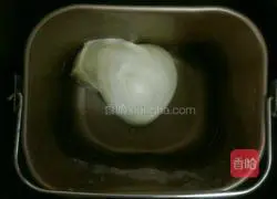 Pizza dough recipe 3