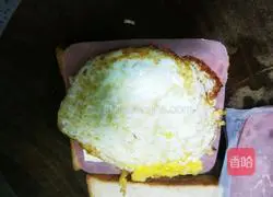 Cheese Sandwich Recipe Illustration 8