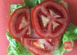 Sandwich Recipe Illustration 5