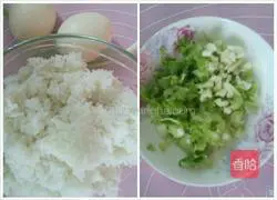 Egg Fried Rice Recipe Illustration 1