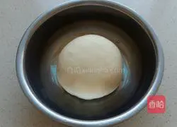 Coconut sesame cake (frozen version) recipe illustration 5