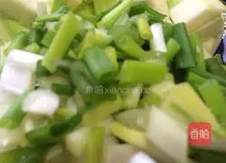 Yao's Garden Fried Rice Recipe Illustration 5