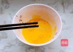 Golden Egg Fried Rice Recipe Illustration 3