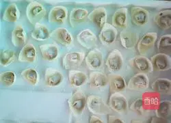 Assorted wonton recipes 10