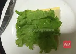 Cheese and ham sandwich recipe 5