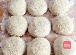 Sesame Shaobing Recipe Illustration 13