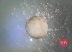 Illustration of how to make white sugar biscuits 2