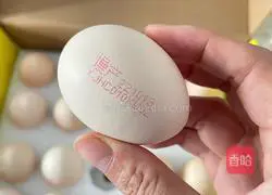 Illustration of making egg sandwich 2