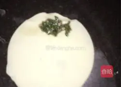 Illustrations of Dumpling Development 11