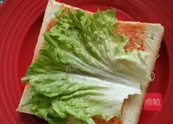 Sandwich Recipe Illustration 5