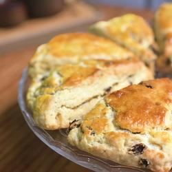 Starbucks raisin scones